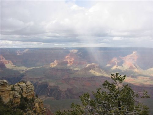 Arizona 045